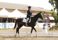 Gara di dressage